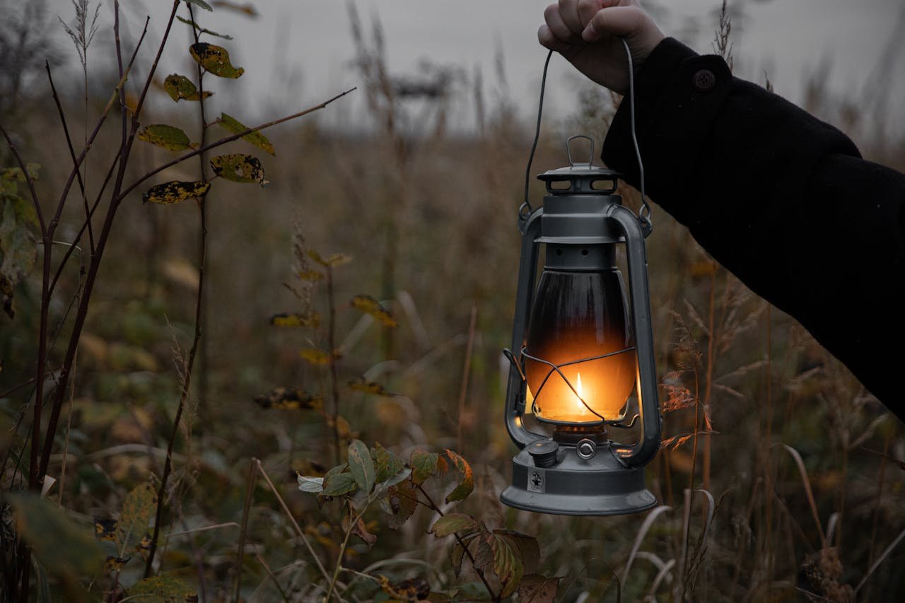 Home A person holds a glowing lantern in a moody fall field at twilight.